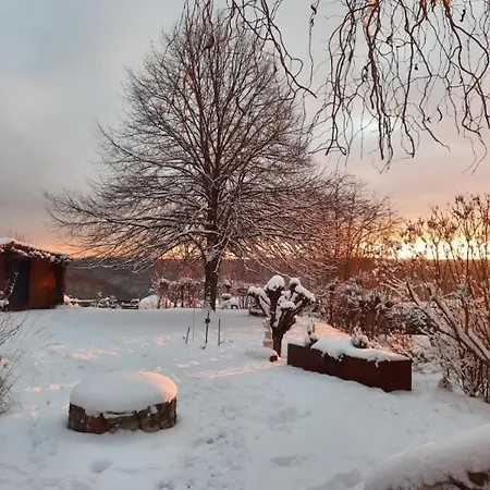 Kuckucksnest - * 维尔施涅多夫